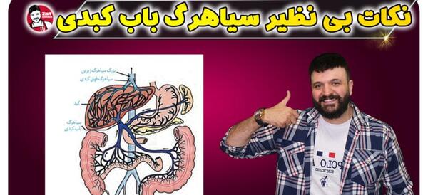 عکس سیاهرگ باب و فوق کبدی