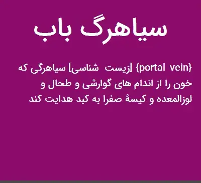 عکس سیاهرگ باب و فوق کبدی
