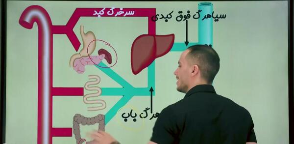 عکس سیاهرگ باب و فوق کبدی