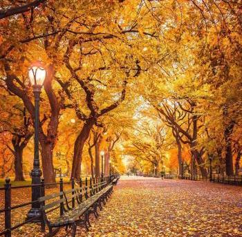 عکس عاشقانه پاییزه