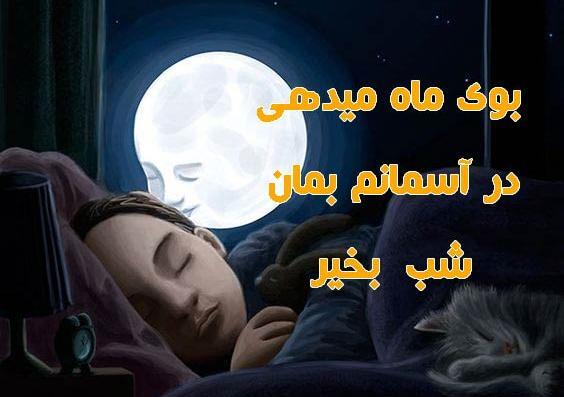 عکس عاشقانه شب خواب