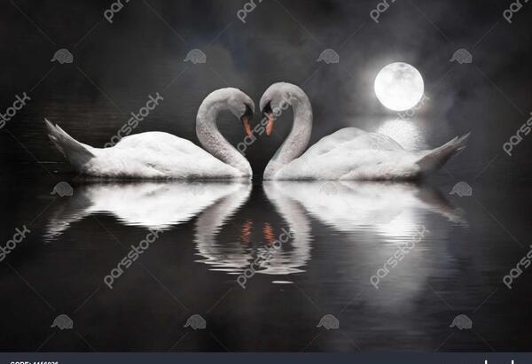 عکس عاشقانه قوی