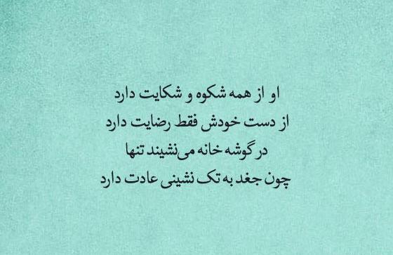 عکس عاشقانه خنده دار و باحال