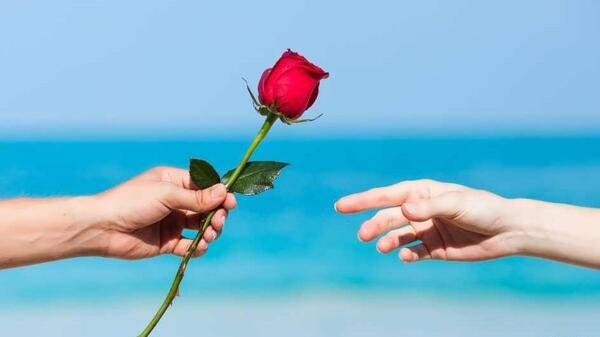 عکس عاشقانه گل و دست