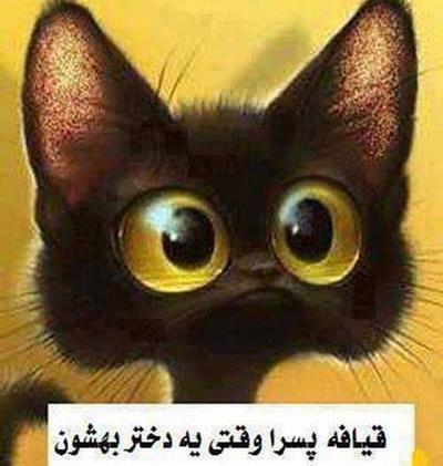 عکس عاشقانه و خنده دار