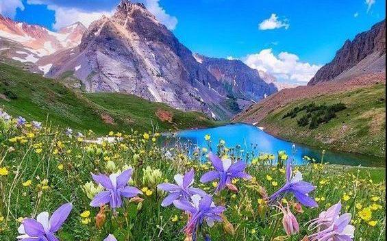 عکس بسیار زیبا