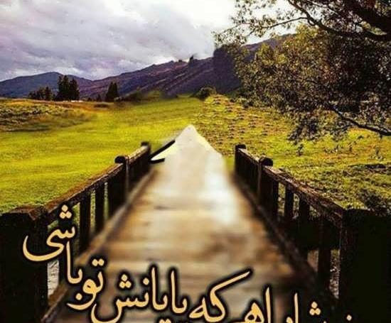 عکس بسیار زیبا