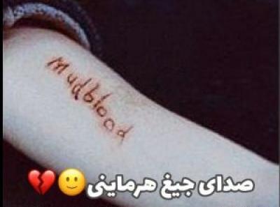 عکس های هری پاتر تستچی