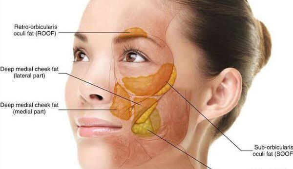 عکس های چاقی صورت