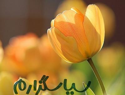 عکس نوشته تشکر برای تسلیت