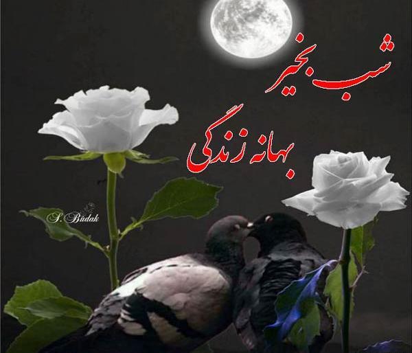 عکس عاشقانه شب بخیر دونفره