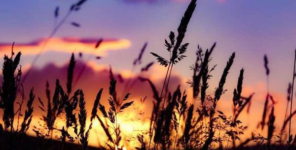 عکس غروب عاشقانه زیبا