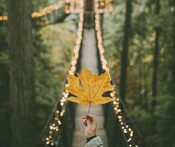 عکس پروفایل پاییزی عاشقانه دونفره