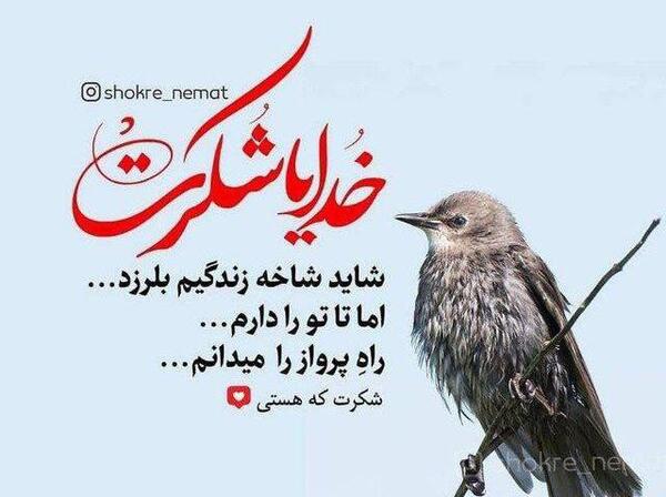 عکس نوشته خدا جون شکرت
