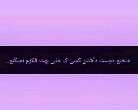 عکس شاخ عاشقانه بنفش
