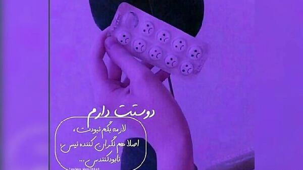 عکس شاخ عاشقانه بنفش