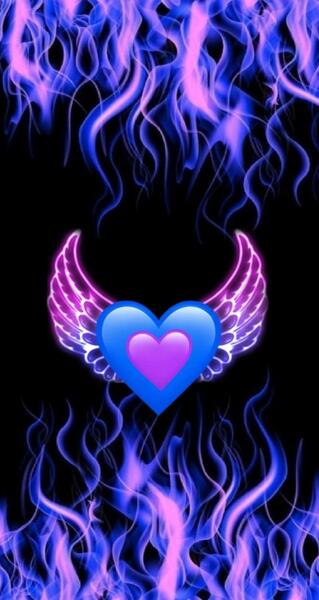 عکس شاخ عاشقانه بنفش