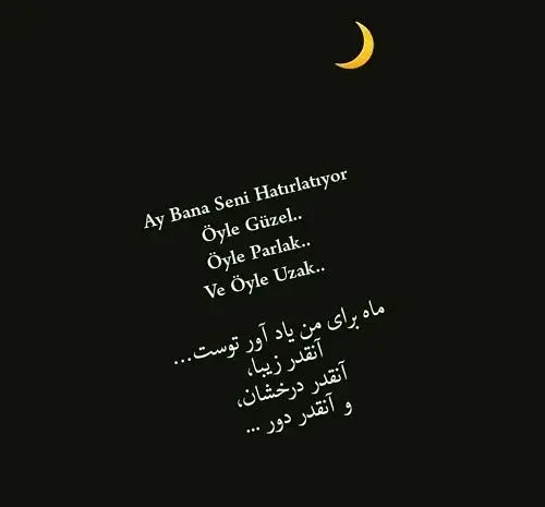 عکس عاشقانه ترکی استانبولی