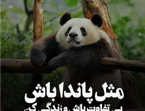 عکس نوشته بی تفاوتی به دیگران