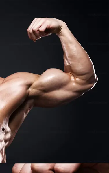 عکس های ورزشی بدنسازی