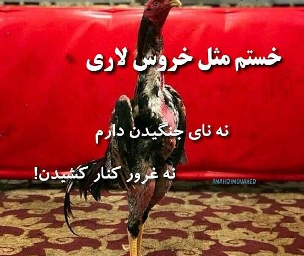 عکس نوشته خدایا خسته ام تمومش کن