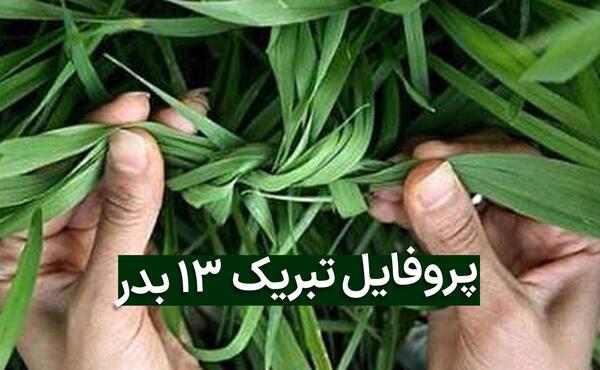عکس نوشته سیزده بدر ۱۴۰۲