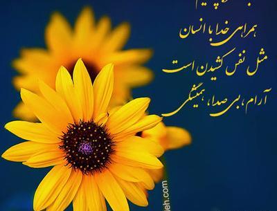عکس نوشته های پر مفهوم از بزرگان