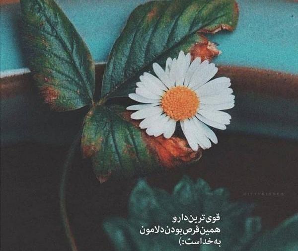 عکس گل نوشته خدا