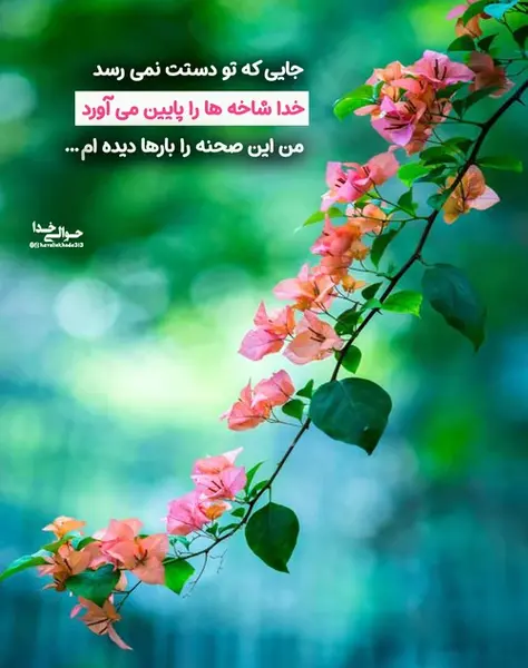 عکس گل نوشته خدا