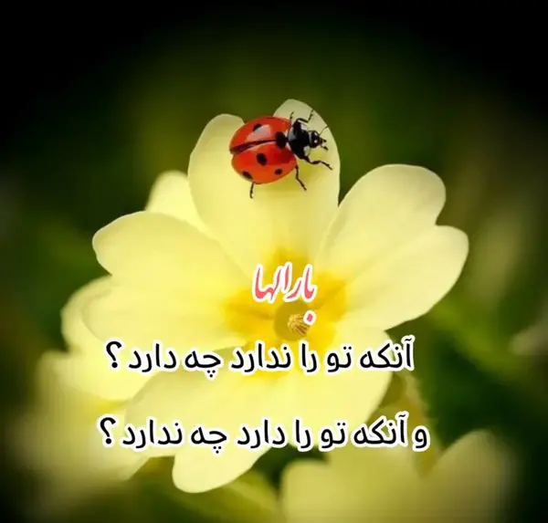 عکس نوشته خدایا من فقط تو رو دارم