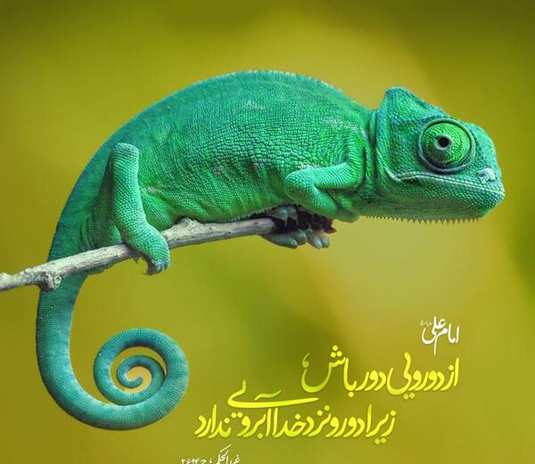 عکس نوشته دورویی آدم ها