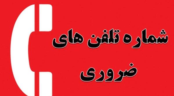 عکس های نوروز 1403