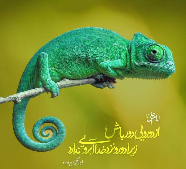 عکس نوشته راجب ادم دورو