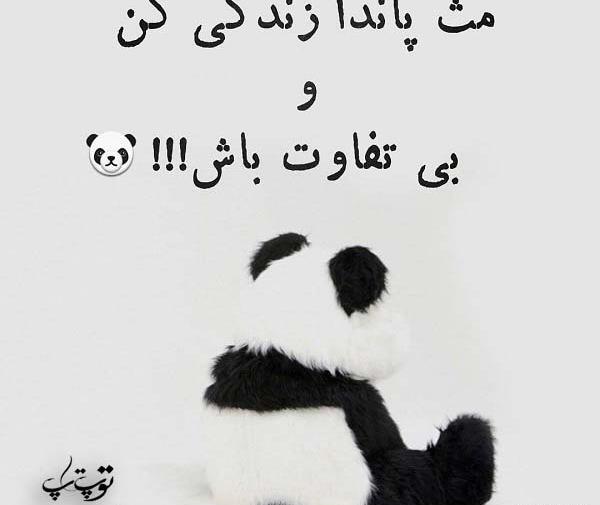 عکس نوشته های بی تفاوتی به عشق
