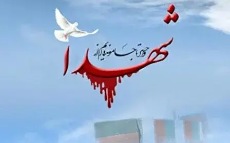 عکس های ناب شهدا