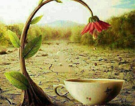 عکس های پروفایل زیبا برای واتساپ