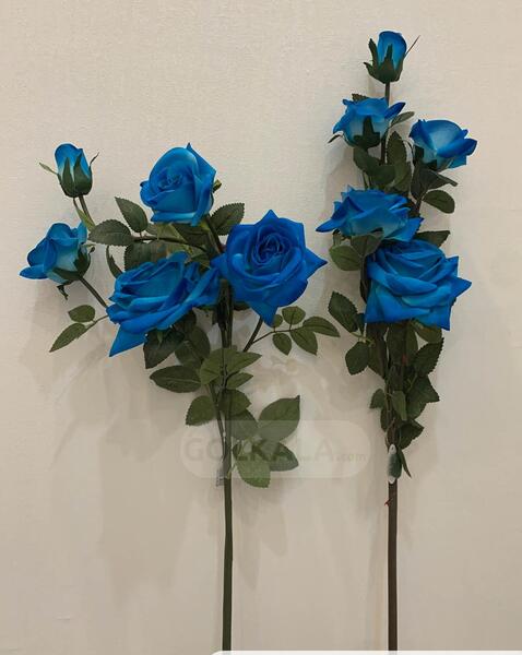 عکس های گل رز آبی