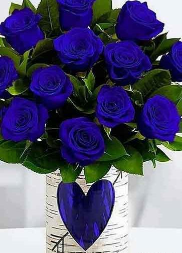 عکس های گل رز آبی