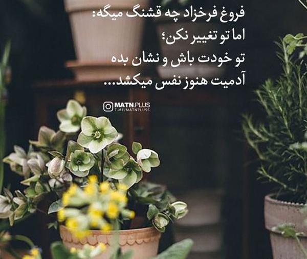 عکس نوشته های زیبای فروغ فرخزاد