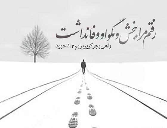 عکس نوشته های زیبای فروغ فرخزاد