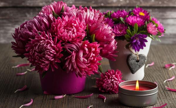 عکس های عکس گل برای پروفایل