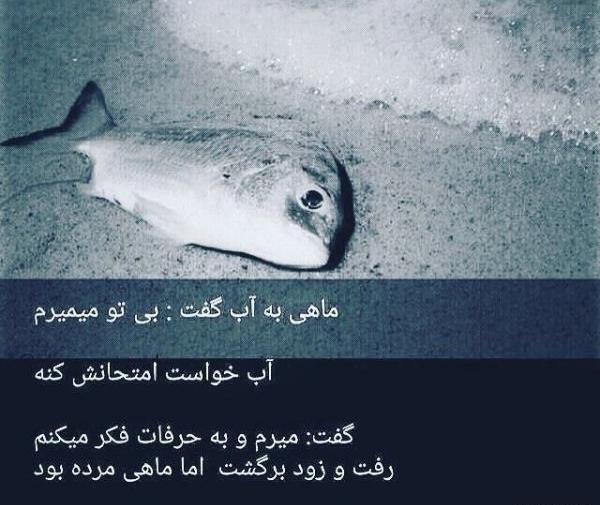 فاز سنگين فلسفی عکس نوشته های مفهومی و سنگین