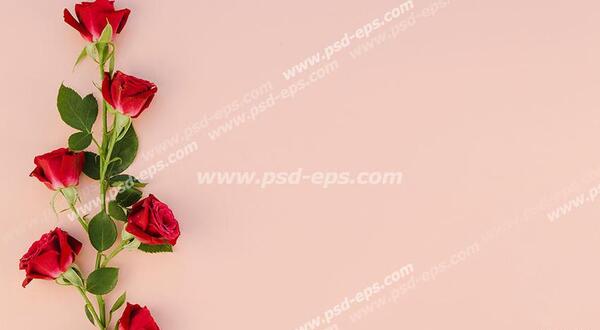 عکس گل با نوشته عاشقانه