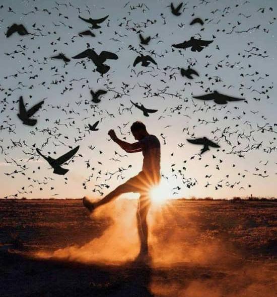 عکس های زیبا و هنری برای پروفایل