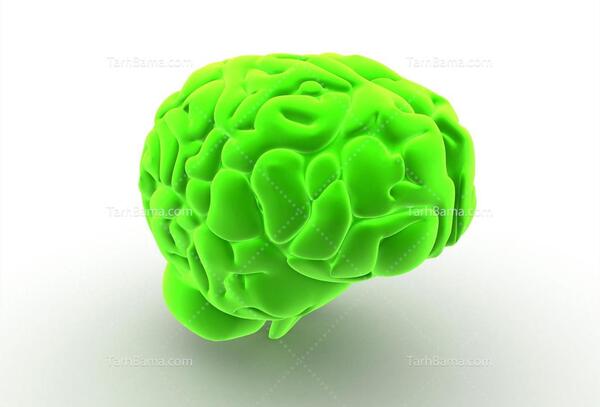 عکس مغز