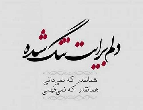 عکس نوشته زیبا و دلتنگی