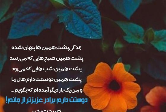 عکس نوشته بی معرفتی برادر