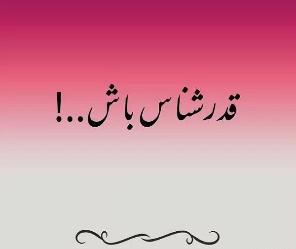 عکس نوشته از نمک نشناسی