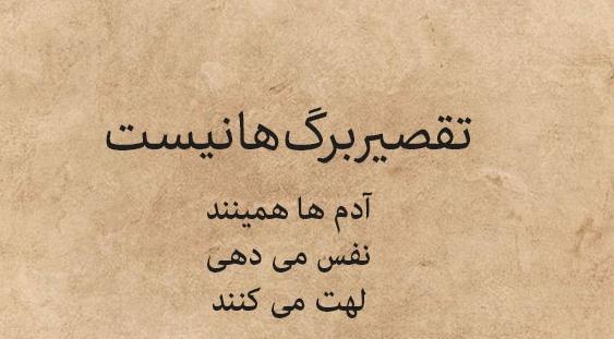 عکس نوشته از نمک نشناسی