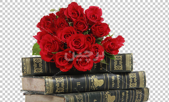 عکس های گل های